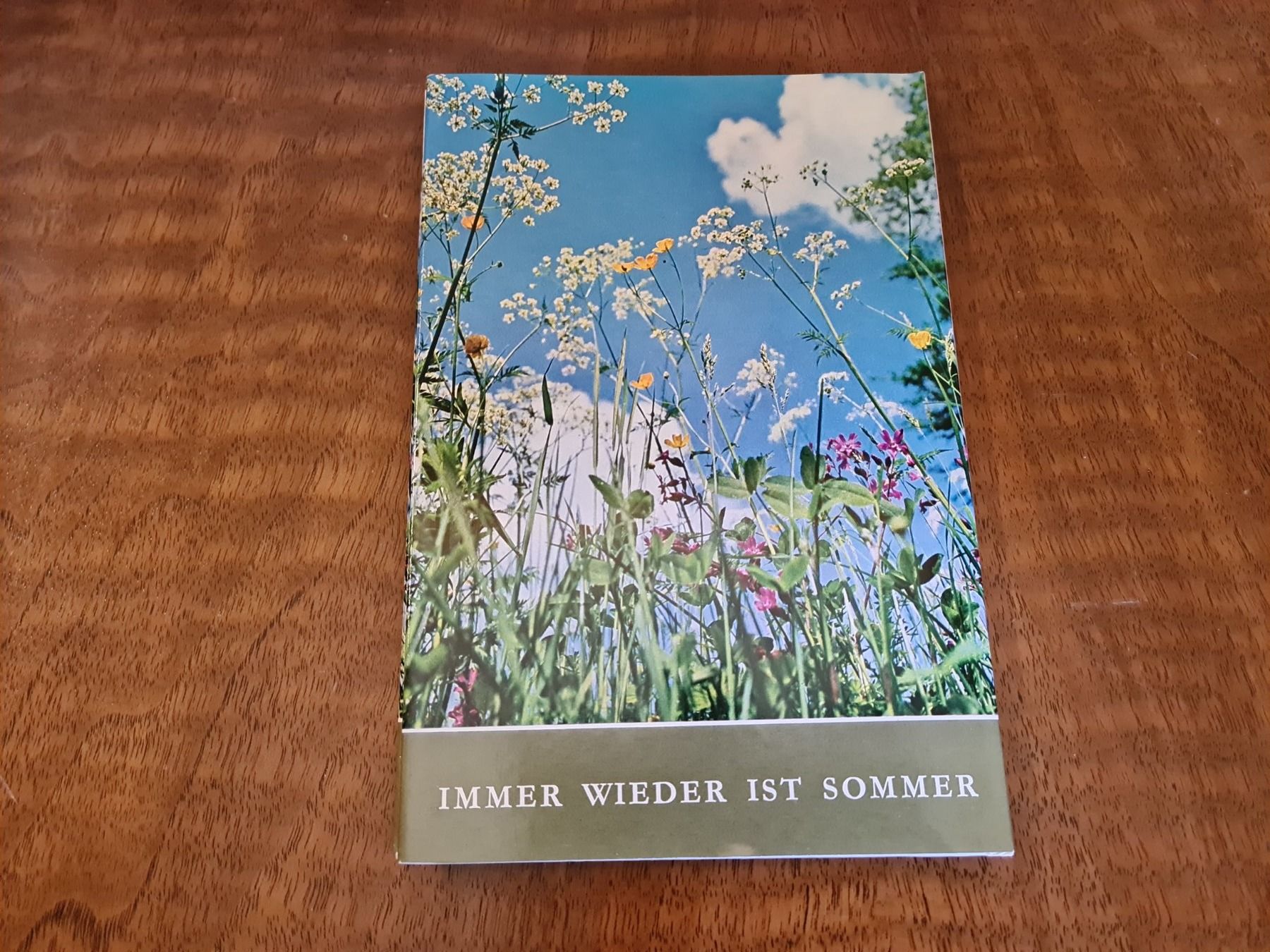 Libri: Immer wieder ist Sommer – Usato da Erstfeld venduto da Uhu1980 4