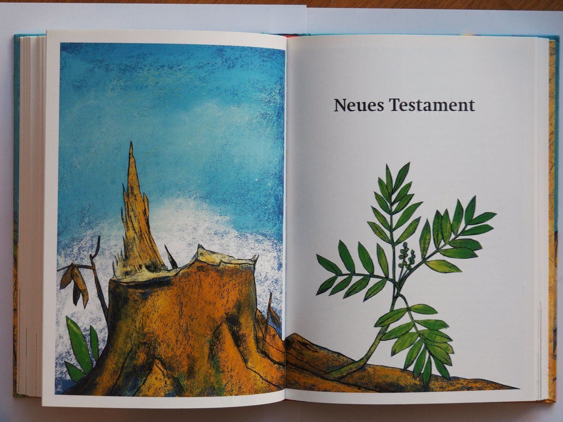 Libri: Unter Gottes weitem Himmel – Nuovo (secondo la descrizione) da Wittenbach venduto da Nirual01 3