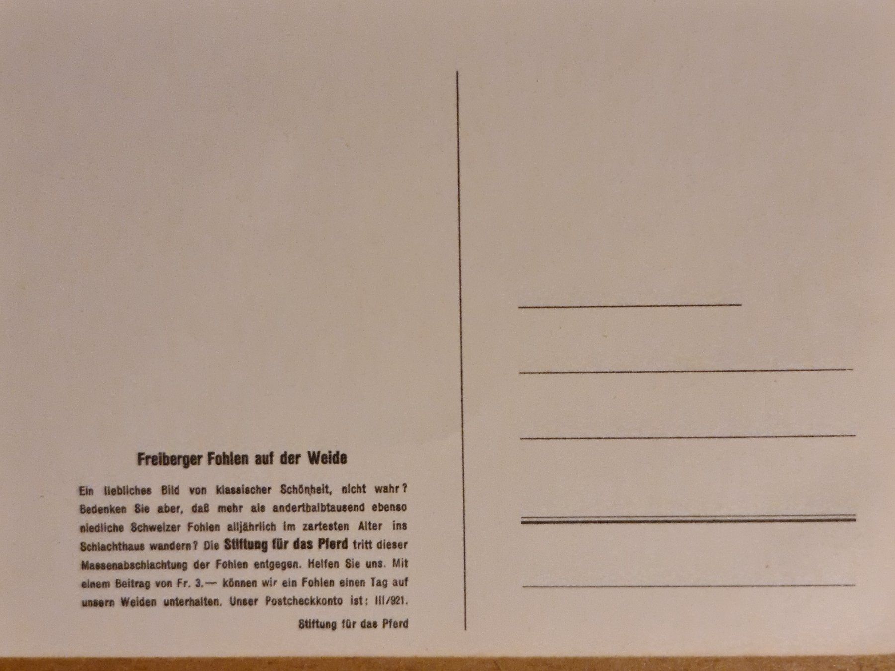 Cartoline postali: Ansichtskarte Freiburger Fohlen – Nuovo (secondo la descrizione) da Dintikon venduto da Vexi 1