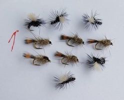10 Fliege für Fischen  Nr.1