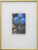 Blaue Blumen Fleurs bleues Fiori blu monogr./dat. E.B. 1987