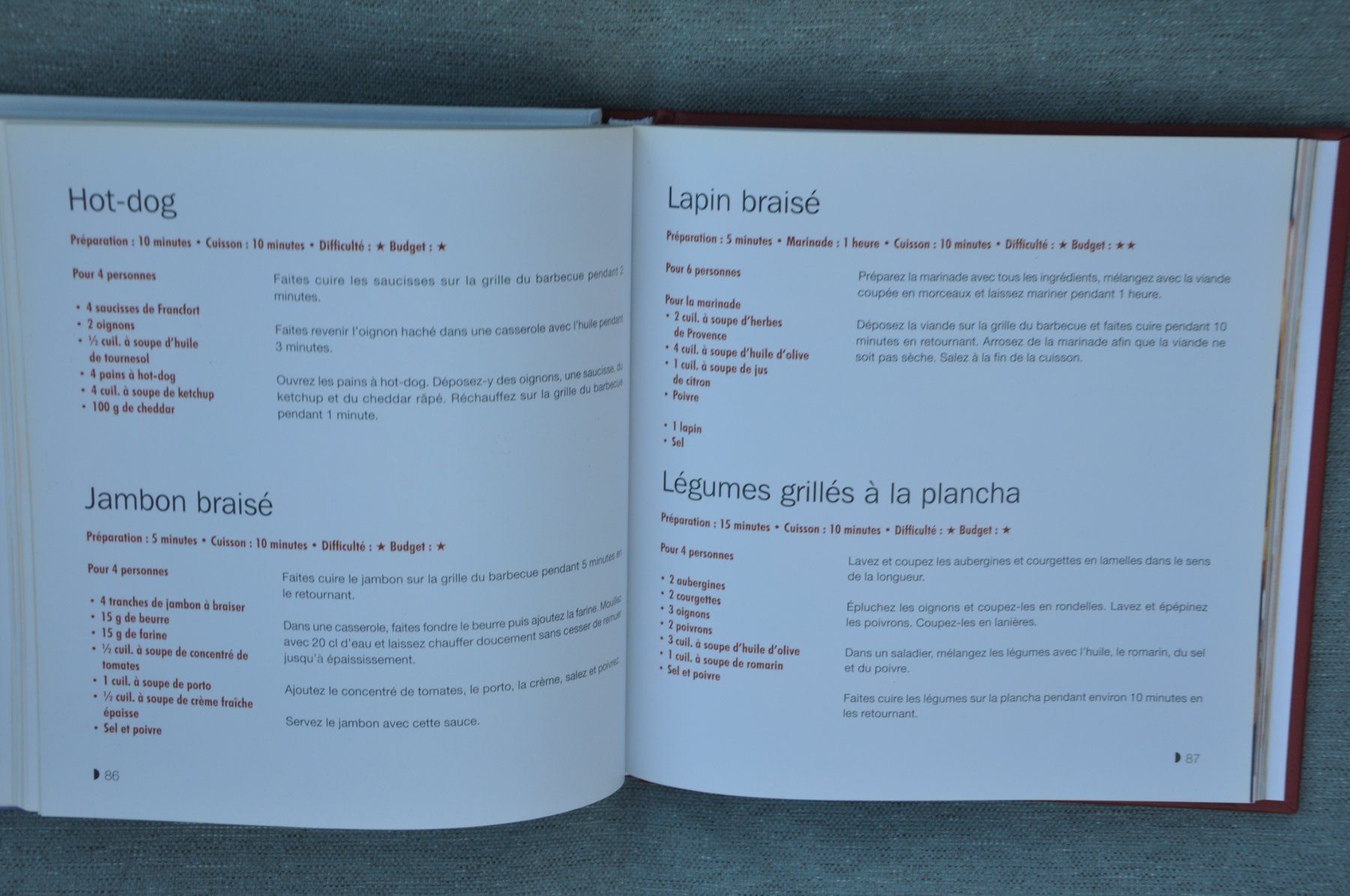 Libri: 140 recettes de grillades et barbecue – Usato da Fully venduto da Minouchka 3