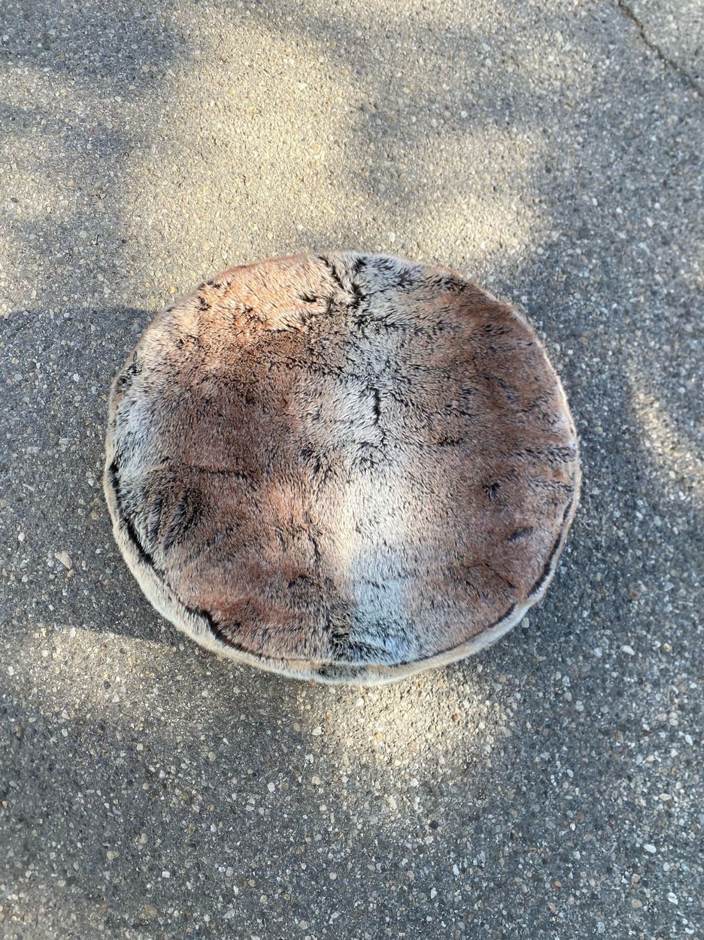 Sgabelli: pouf en fausse fourrure – Usato da St-Blaise venduto da Windy2 2