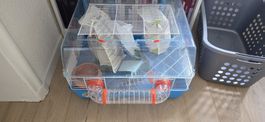 Cage pour rongeurs petite taille