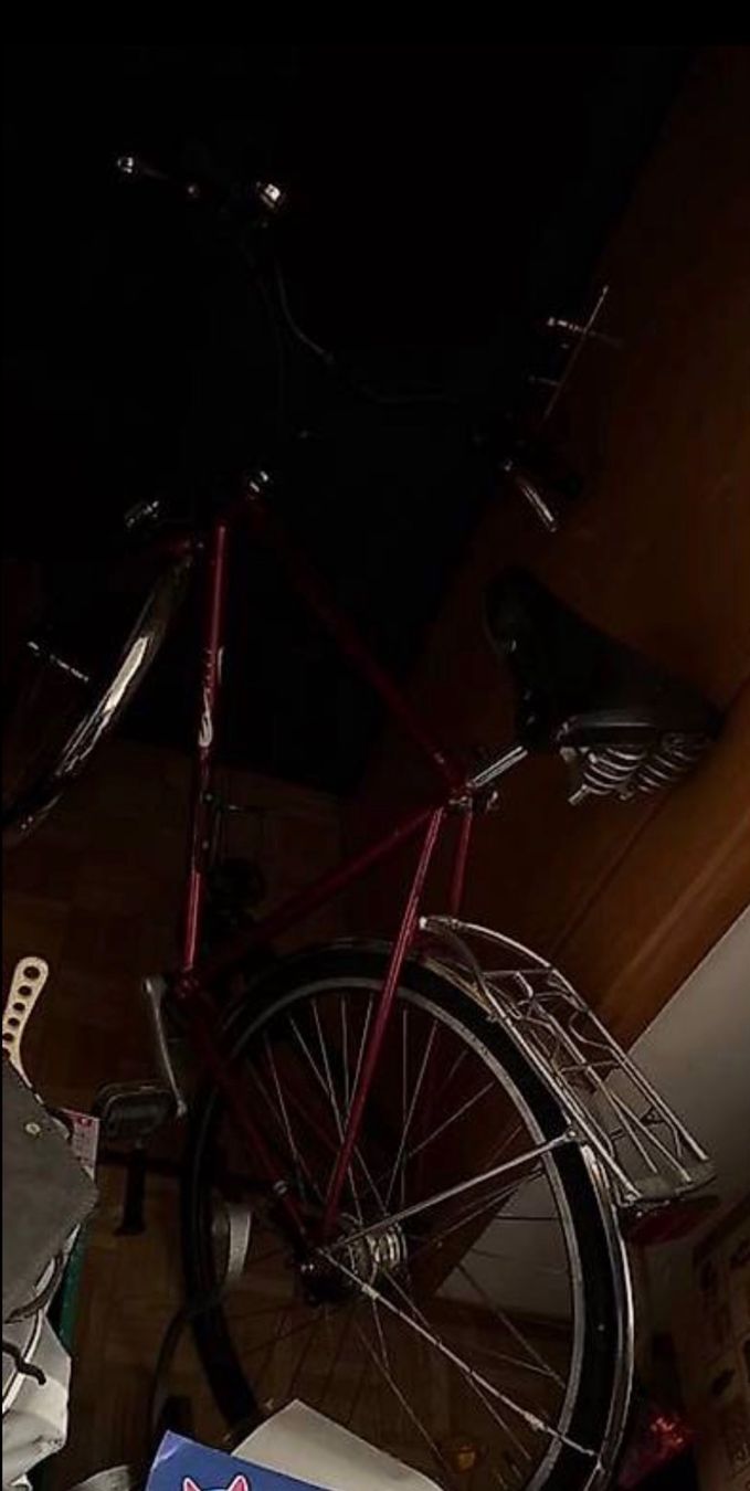 Velos: due biciclette funzionanti – Gebraucht aus Bellinzona von gab_5tdf 1