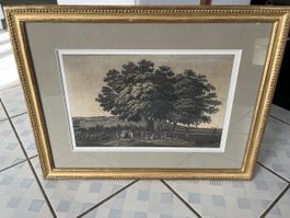 Lithografie Eidgenössisches Übungslager in Wohlen 1820
