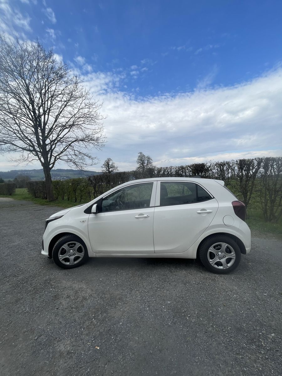 Kia Autos: Kia Piccanto 1.0 – D'occasion à Bollingen par makenschmuschki 2