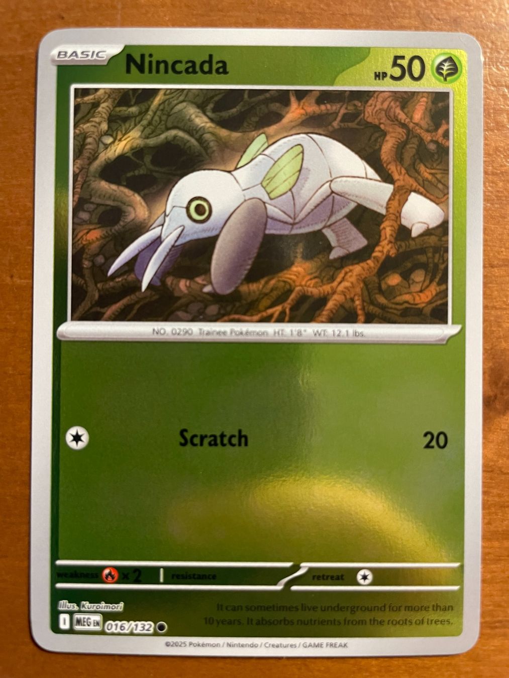 Pokémon Carte collezionabili: Pokemon Nincada Reverse (Versand gratis) – Nuovo (secondo la descrizione) da Chur venduto da Angerson