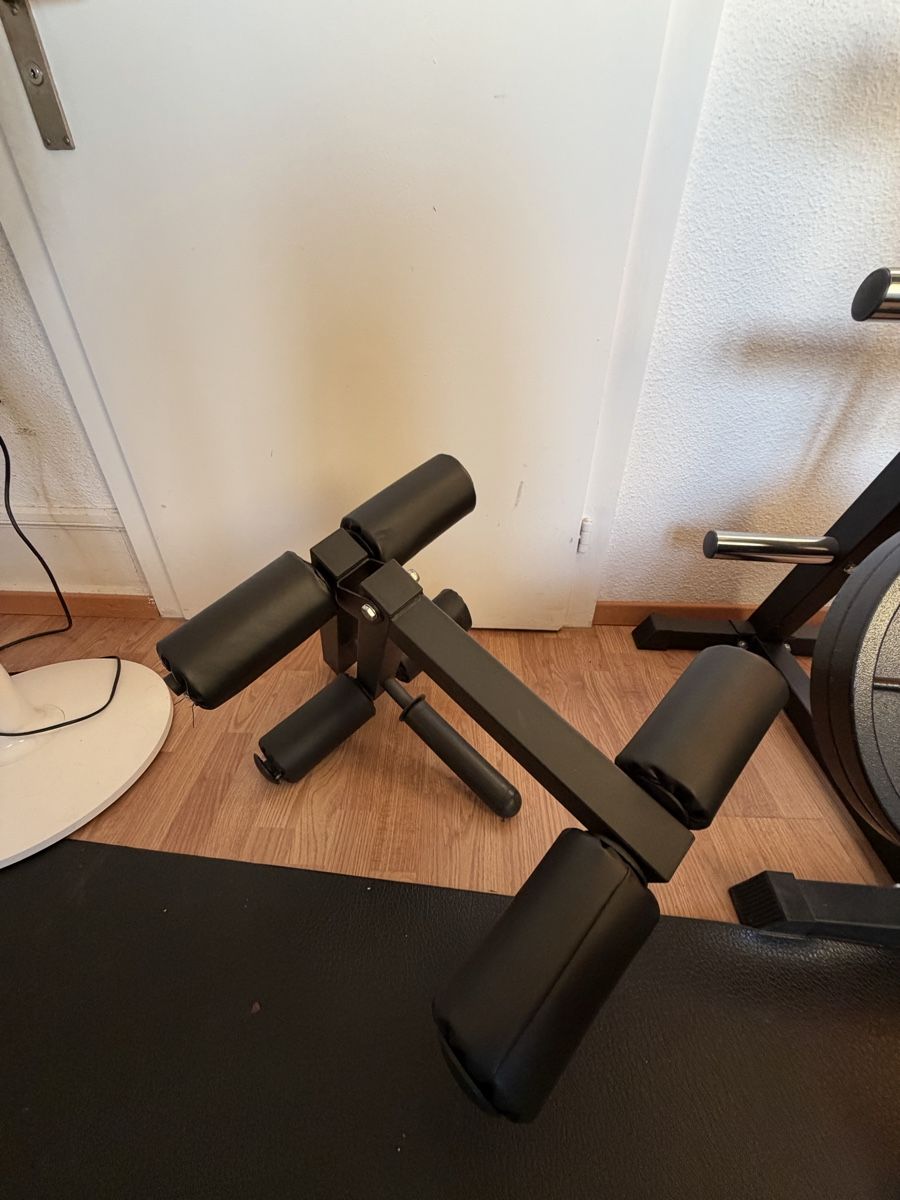 Vélos d'appartement: Brute Force - Hantelbank – D'occasion à Zürich par eli_gc5x 1