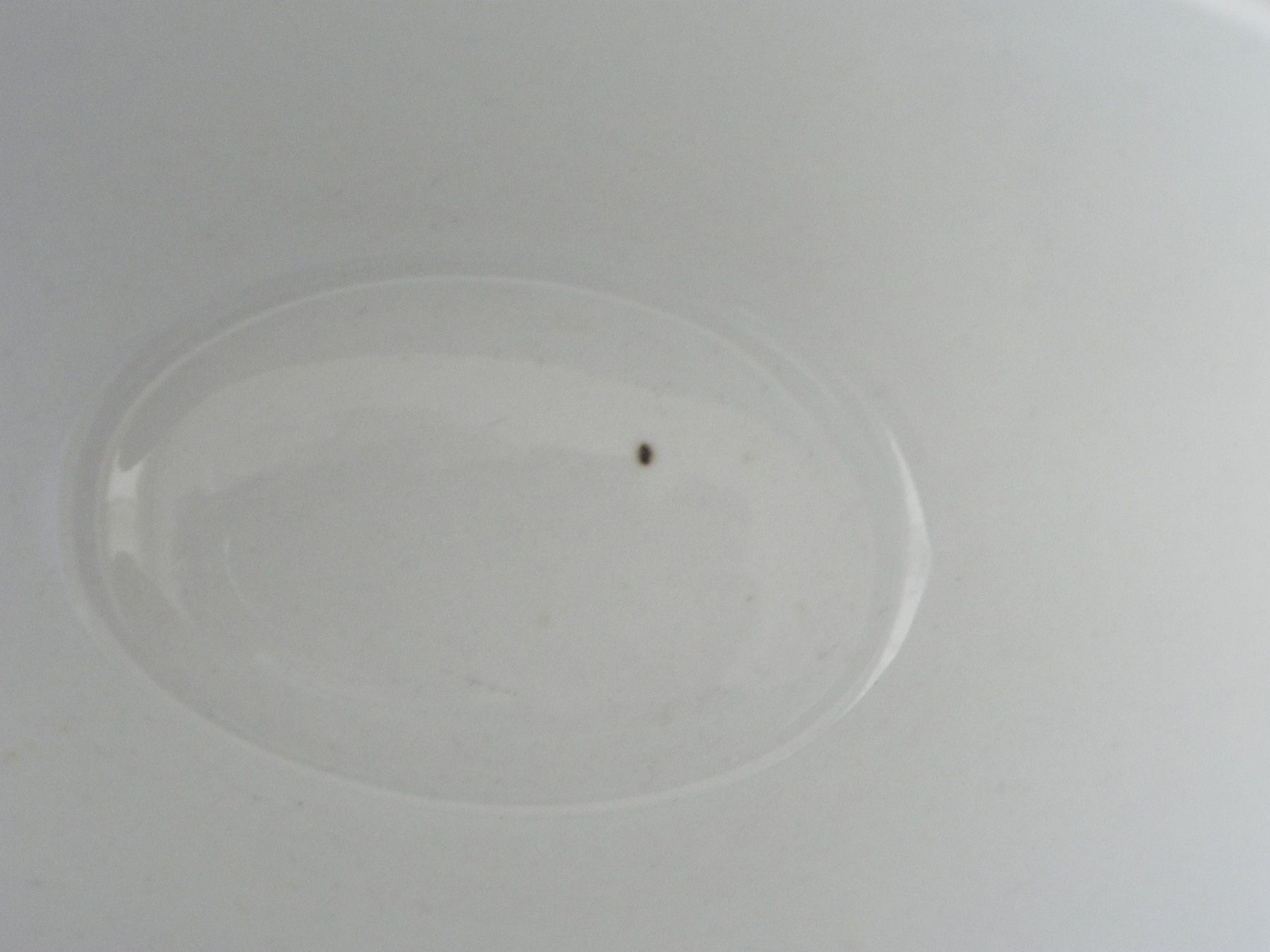 Rössler Ciotole: Sauciere RÖSSLER gelb – Nuovo (secondo la descrizione) da Zürich venduto da LodgE-21 3