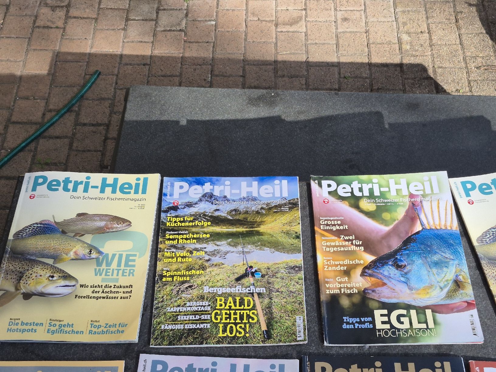 Riviste & Magazine: Petri-Heil Schweizer Fischereimagazine – Nuovo (secondo la descrizione) da Baar venduto da Sb6 3