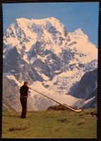 LES ALPES DEVANT LE MONT-COLLON
