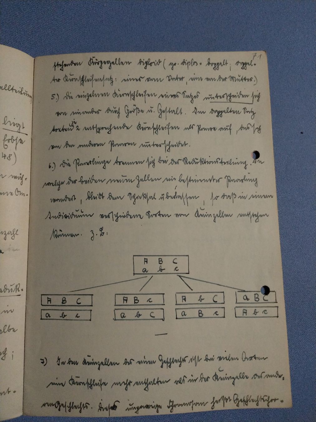 Bücher: Altes Schulheft – Gebraucht aus Brugg AG von matejR 2
