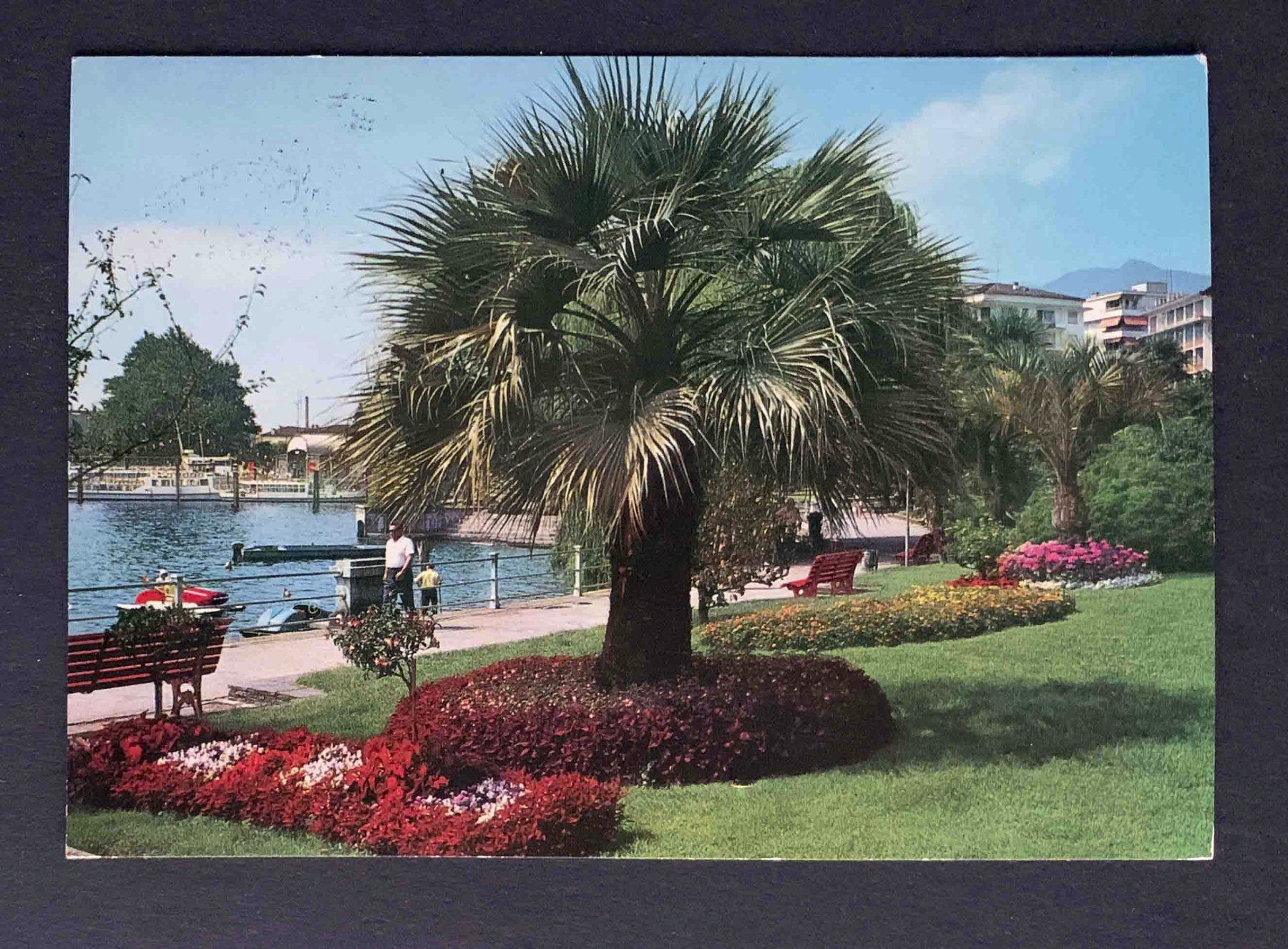 Cartoline postali: AK LOCARNO Lungolago e debarcadero – Usato da Goldau venduto da artelier1