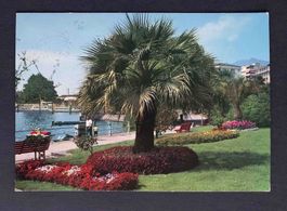 AK LOCARNO Lungolago e debarcadero