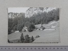 Pension / Sennhaus Hinter - Weissenstein b. Solothurn, 1953