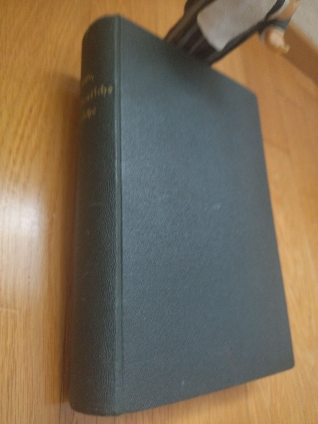 Libri: Kochbuch antik 1898 – Usato da Felben-Wellhausen venduto da bananajoe8474 1