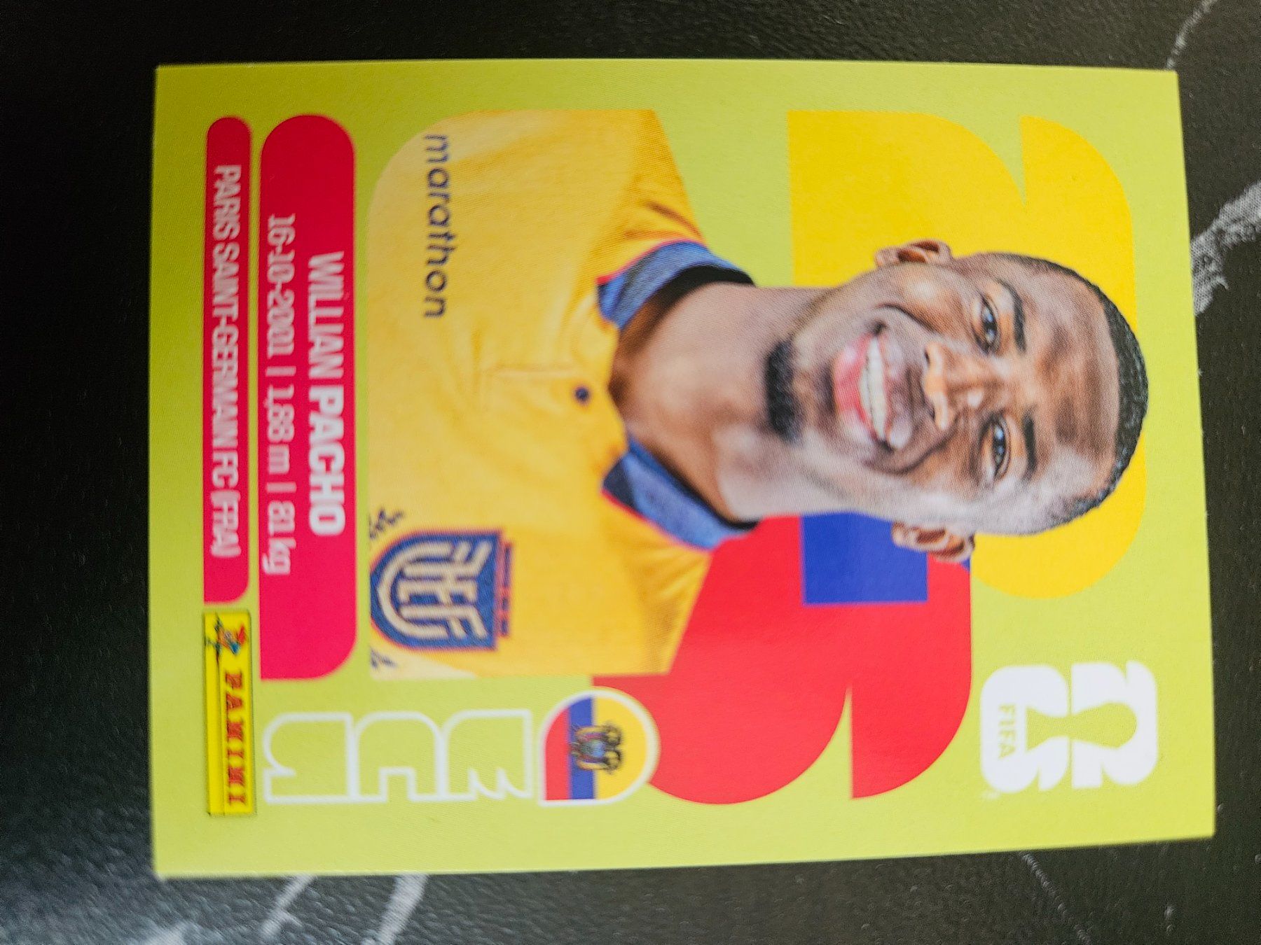 Panini Carte collezionabili: ECU6 – Usato da Würenlingen venduto da Dinli