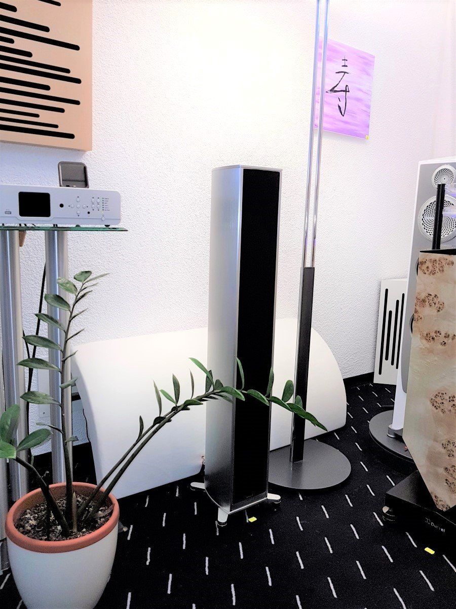 Piega Haut-parleurs: Piega Premium 501 – Neuf (Voir description) à Vaduz par technotrade 1