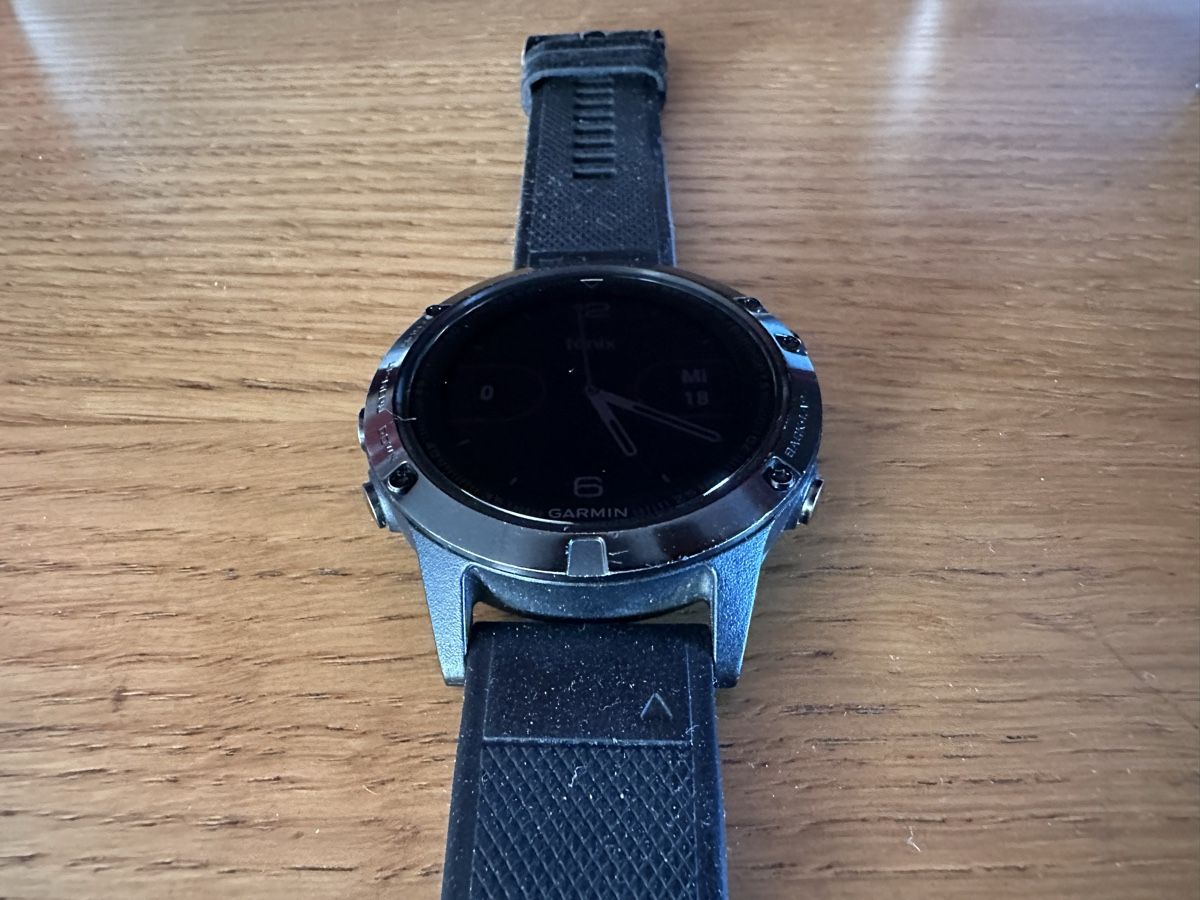 Garmin Smartwatch: Garmin Fenix 5 Sapphire Edition – Usato da Meggen venduto da Aur_r5rp 5
