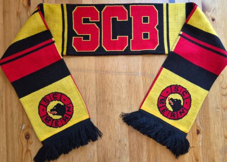 SC Bern Schal Hockey Schweiz NLA SCB Fan