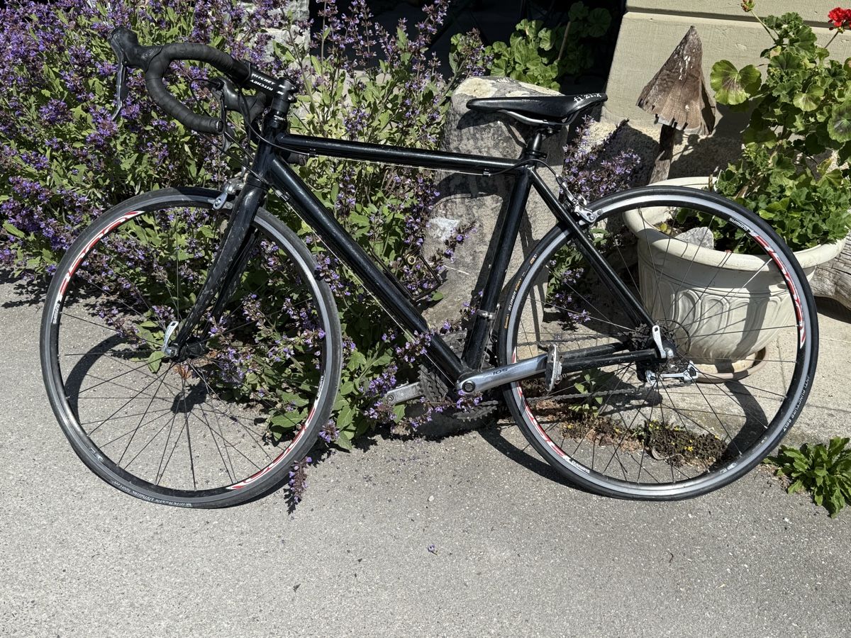 Velos: Rennvelo RITCHEY LOGIC II schwarz – Gebraucht aus Konolfingen von petzipetz