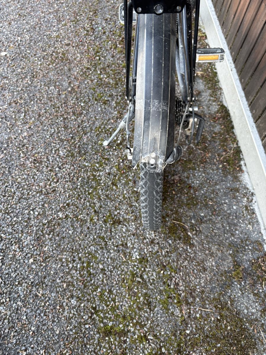 Biciclette: Fahrrad Basilisk Jucker – Usato da Richterswil venduto da Martin01016 2