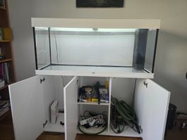 Juwel Rio 240 LED Aquarium weiss mit Unterschrank – 15 Mte