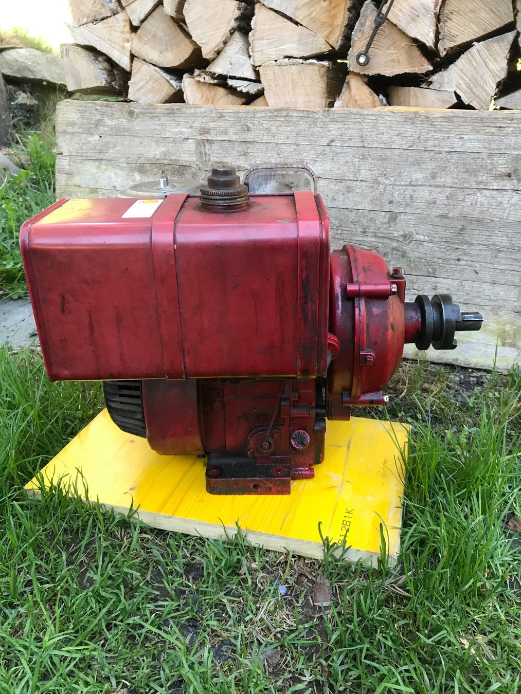 Motori: Benzinmotor Briggs stratton – Usato da Elm venduto da 2084SRB 2