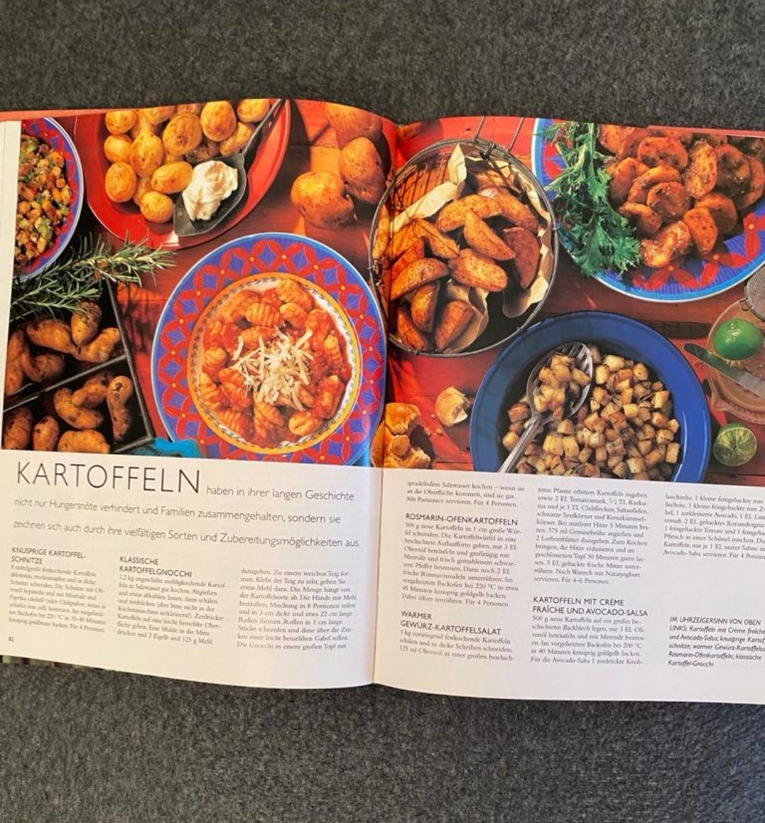Libri: Vegetarische Küche - Das grosse Kochbuch – Nuovo (secondo la descrizione) da Zürich venduto da Pokiemon 4