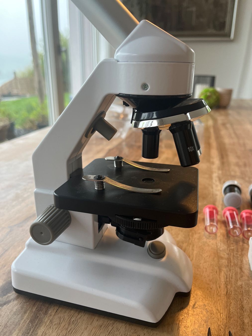 Microscopes: Kinder Microscope – D'occasion à Beinwil am See par ladybeetle 2
