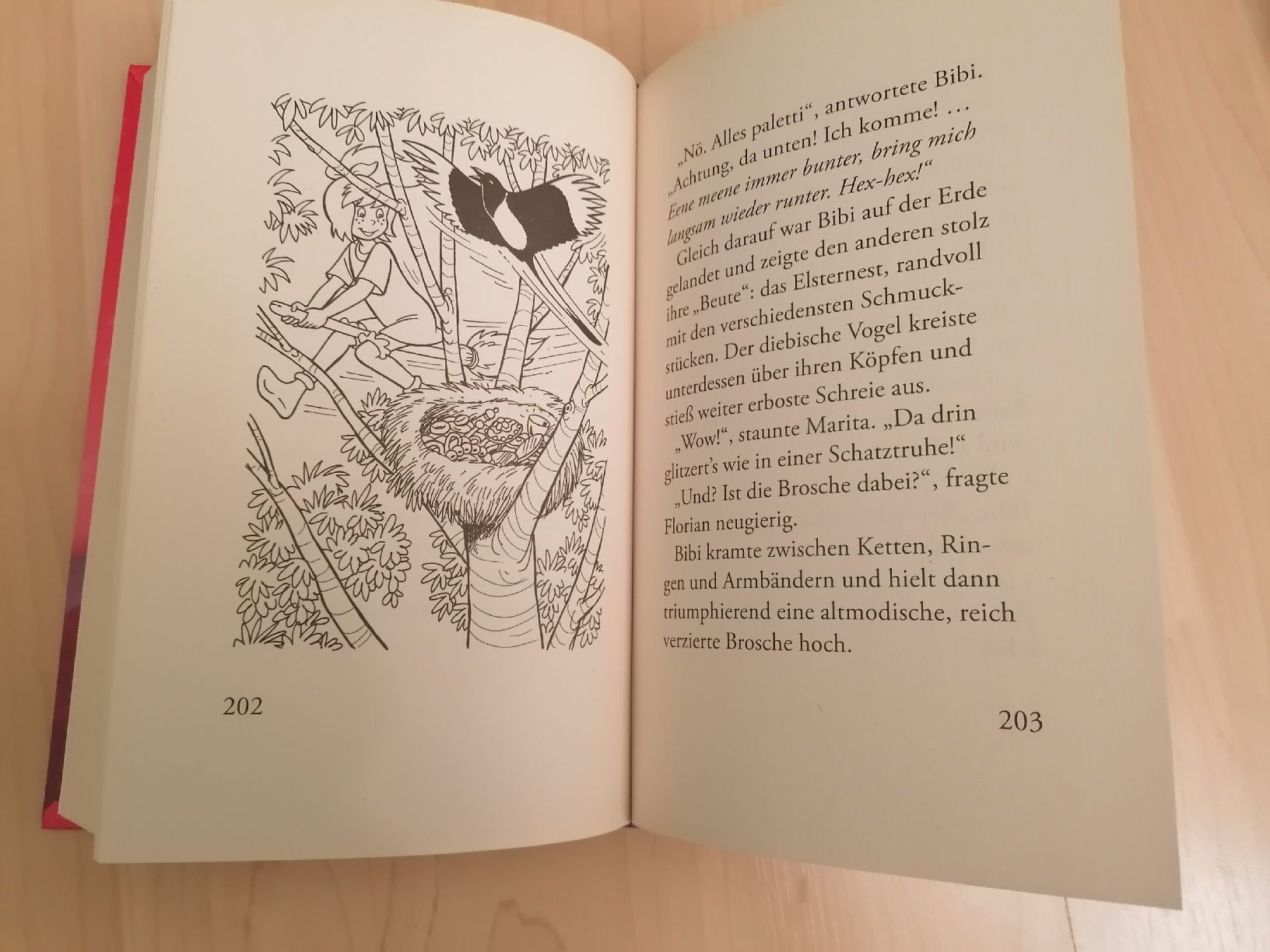 Libri: Bibi Blocksberg - 2 Bücher. Schule verhext – Usato da Wahlen b. Laufen venduto da Aweiss 2