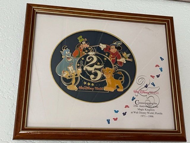 Cornici: Disney Pins – Nuovo (secondo la descrizione) da Obergösgen venduto da Keora
