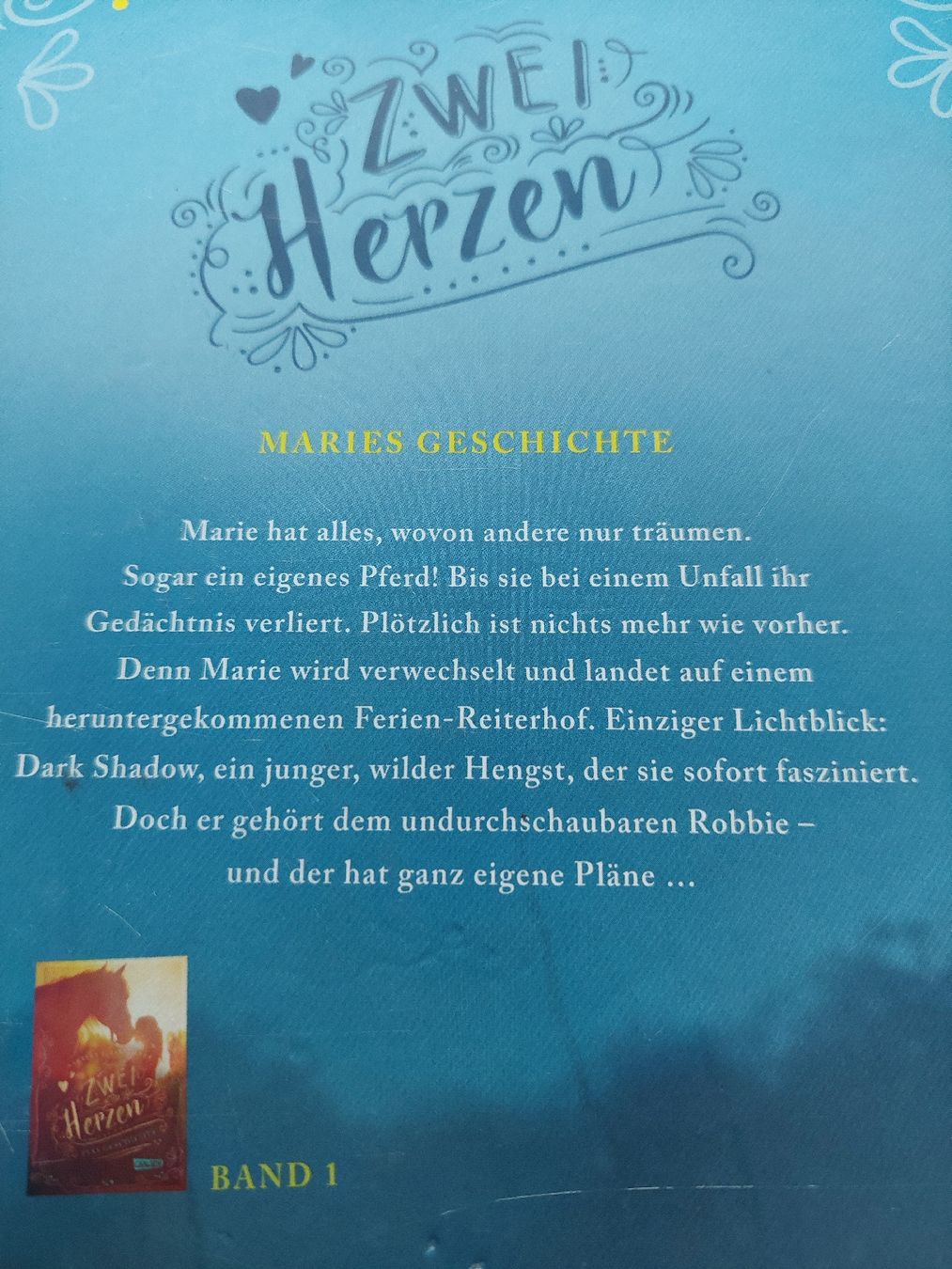 Libri: 4 tolle Pferdebücher,  Charlotte Link – Usato da Zetzwil venduto da lanst08 4