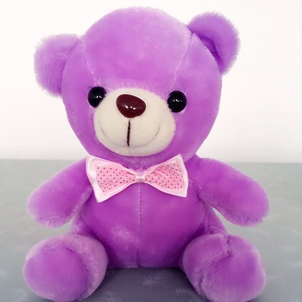 Spielzeuge: Teddy leuchtend mit LED - Superpreis!! – Neu und originalverpackt aus Diepoldsau von preisparadies-ch 1