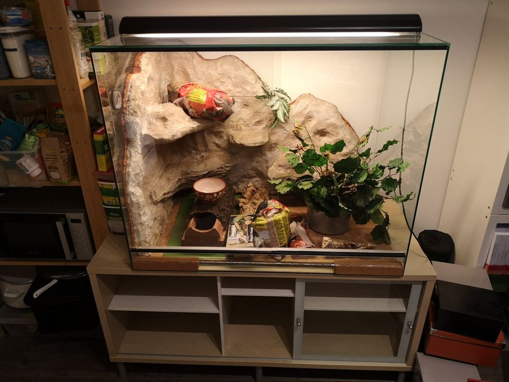 Exo Terrarium mit Lampe, Heizmatte usw. *L 100 *B 60 *H 80 Kaufen auf