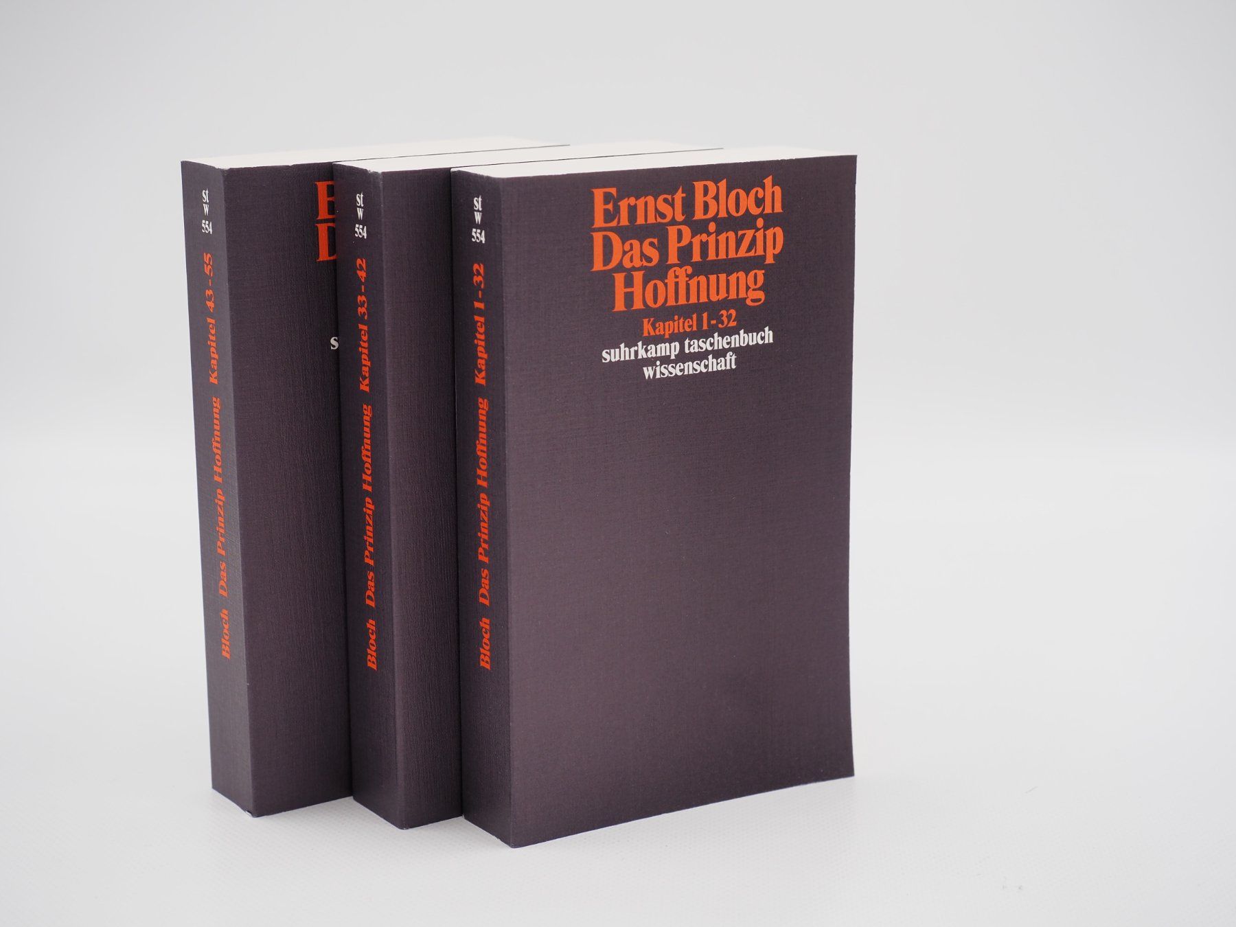 Libri: Ernst Bloch: Das Prinzip Hoffnung (26070841) – Nuovo (secondo la descrizione) da Zürich venduto da fundsachenverkauf