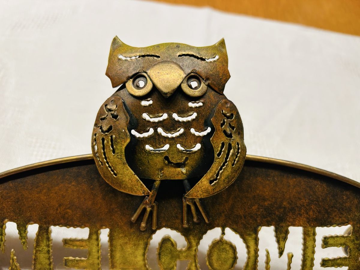 Insegne: Deko-Schild "Welcome" mit Eule, Metall, Vintage-Look – Usato da Lengnau AG venduto da Mefari 1