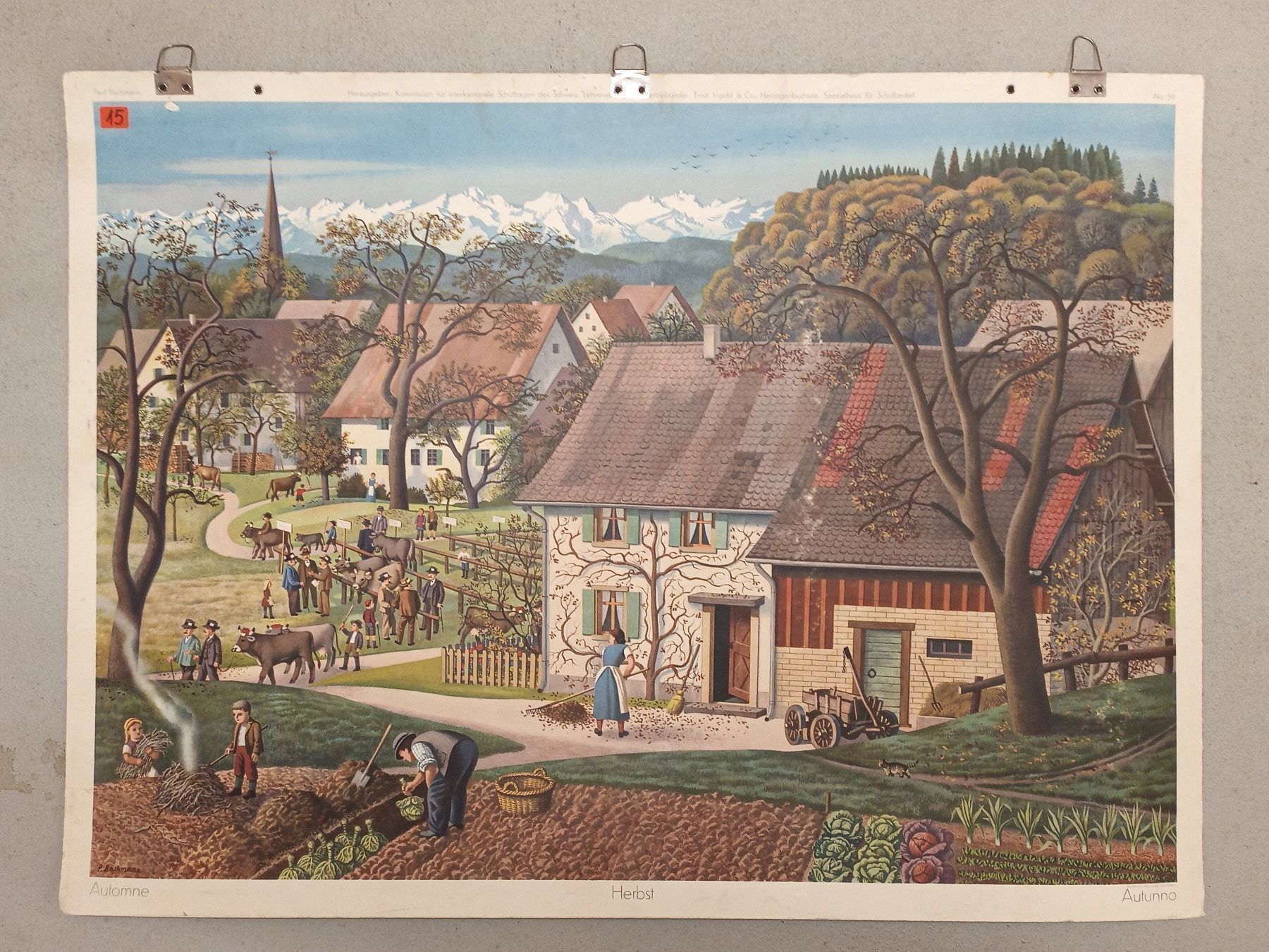 Foto & Immagini: Schulwandbild 59 Herbst – Usato da Zürich venduto da danihell