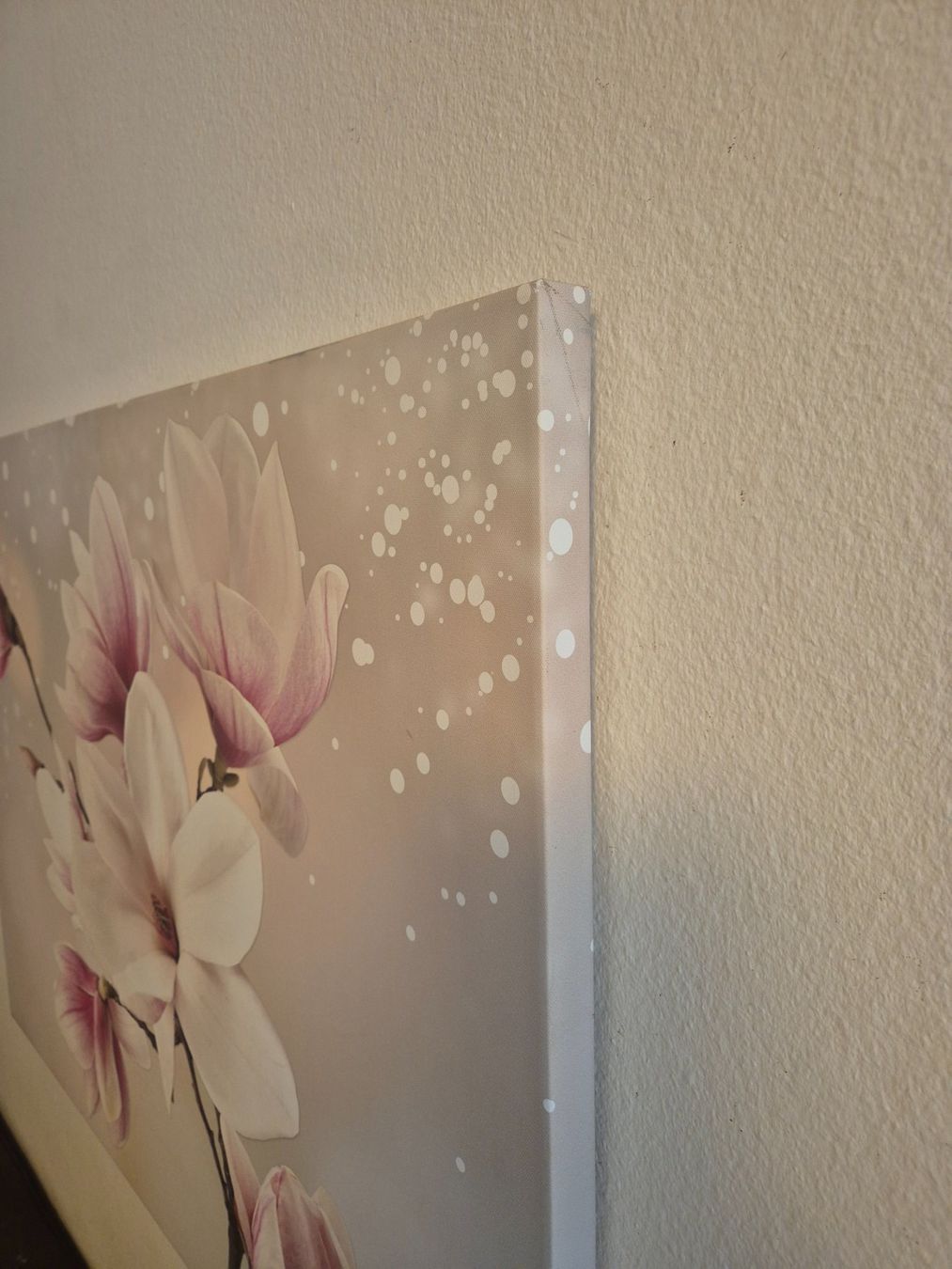 Tele & Cornici: Toile sur cadre - fleurs - 100cm x 75cm – Usato da Genève venduto da daudin 2
