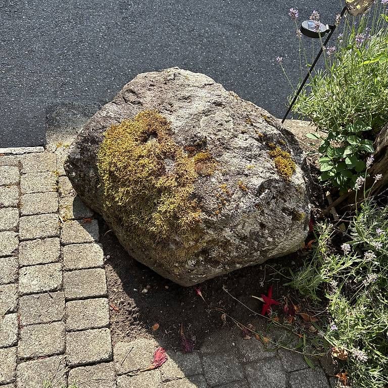 Steine & Dachziegeln: Findling Granit  – Gebraucht aus Hägglingen von Splatter_Sid