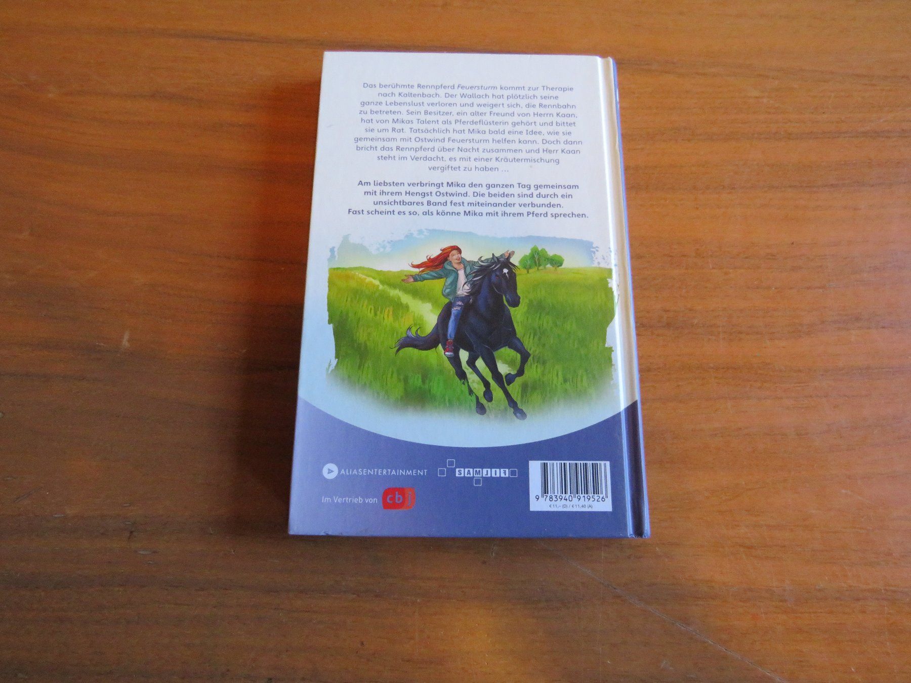 Libri: Ostwind, Ein Freund für Feuersturm – Usato da Luthern venduto da floluli 1