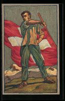 Schweizer Bundesfeier 1912, Fahnenschwen