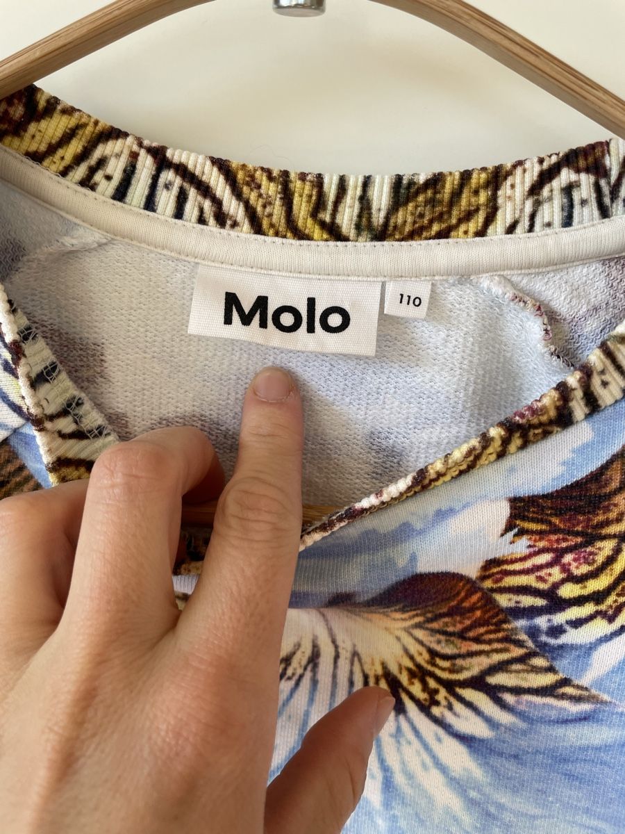 Molo Maglioni & Felpe: Molo Sweatshirt Grösse 110 – Usato da Neukirch an der Thur venduto da bee88 1