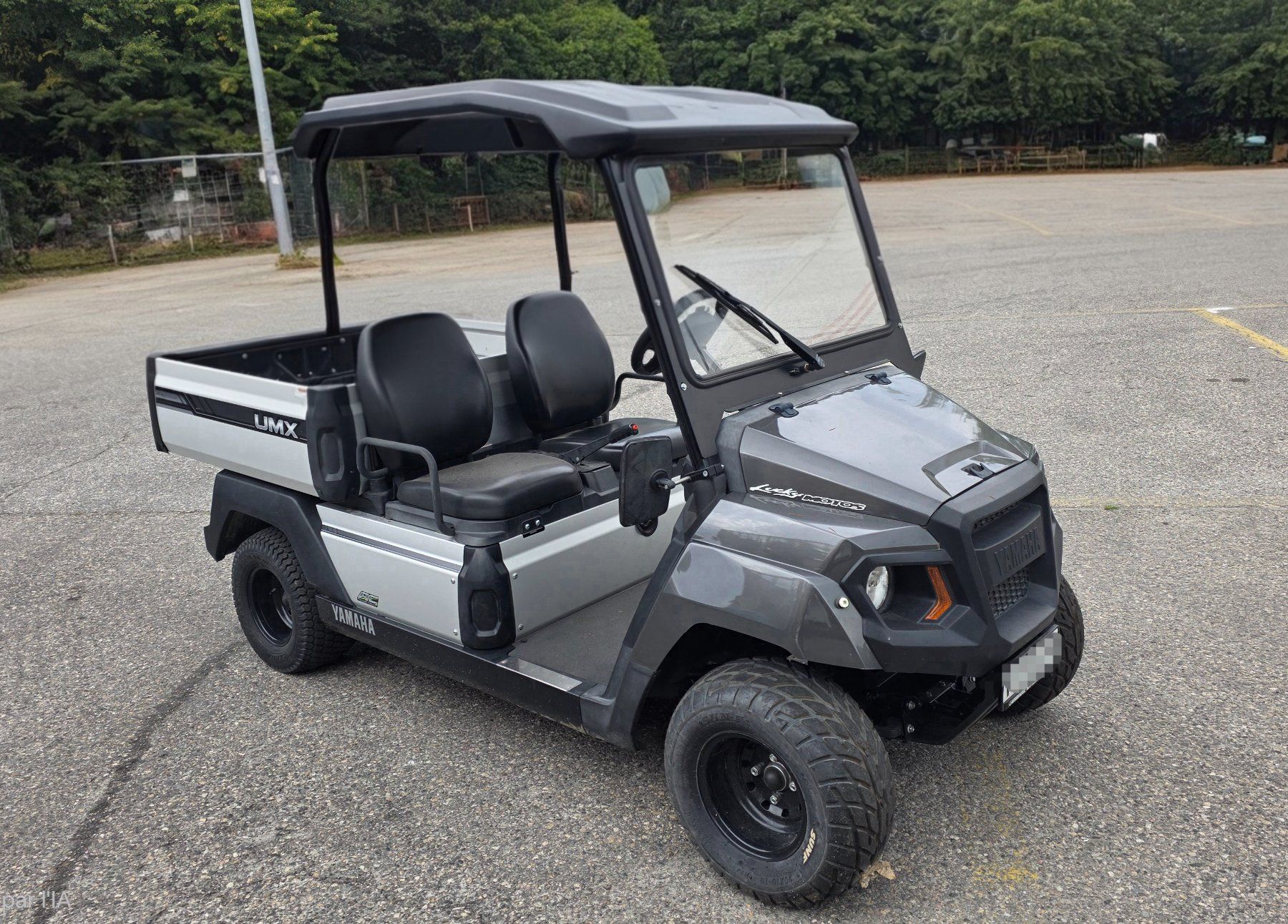 Veicoli elettrici: Yamaha UMX AC Elektro mit Strassenzulassung – Usato da Grenchen venduto da Mluka 2