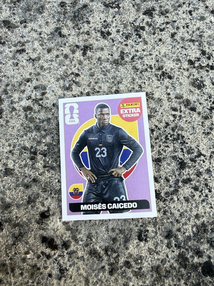 Panini Carte collezionabili: Panini FIFA World Cup 2026 extra sticker – Nuovo (secondo la descrizione) da Pully venduto da Elle_Pi