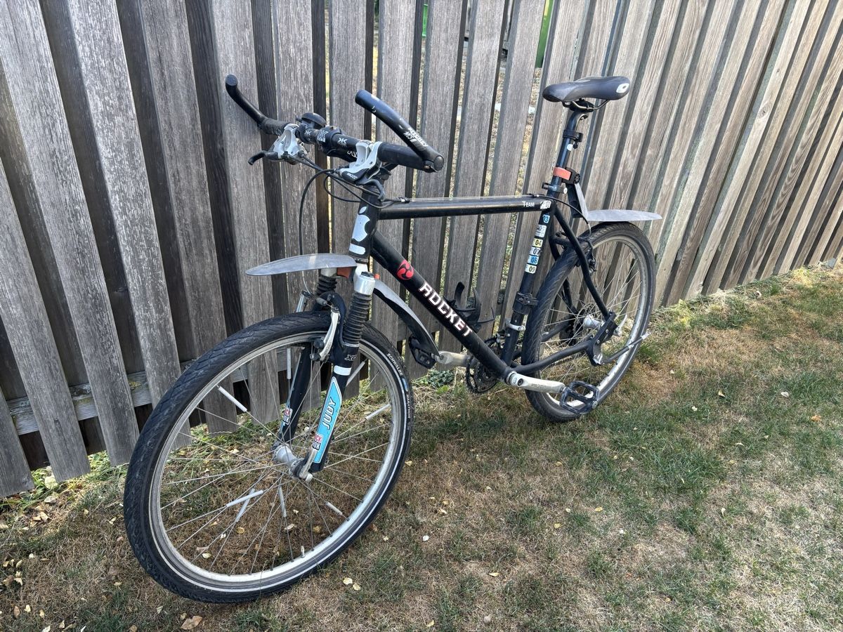 Biciclette: Mountainbike mit vielen Shimano Deore XT Komponenten – Usato da Allschwil venduto da MichaelU01