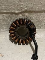 Ktm Smcr 690 Lichtmaschine/Stator