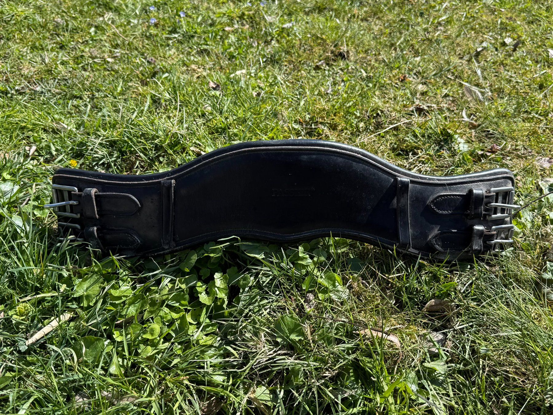 Selle & Accessori: Kurzgurte von Passier – Usato da Balgach venduto da ser_d5gt