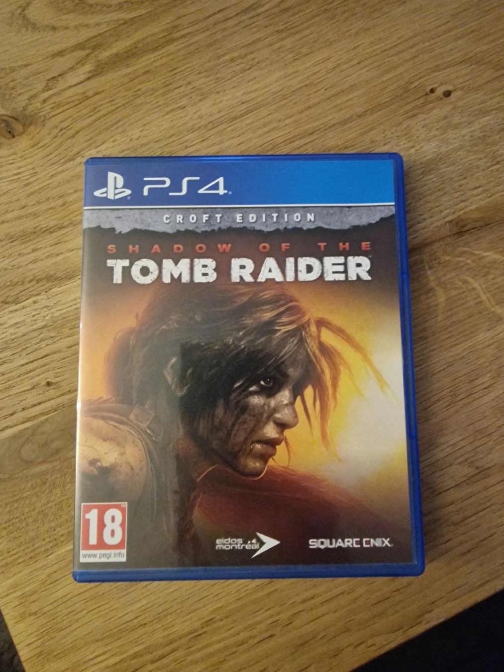 Sony Giochi: Tomb Raider PS4 – Usato da Winterthur venduto da mille89